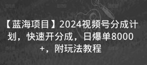 【蓝海项目】2024视频号分成计划，快速开分成，日爆单8000+，附玩法教程-鱼梓小栈