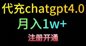代充chatgpt4，日入500+，精准引流，暴力变现【揭秘】-鱼梓小栈