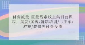 付费流量·巨量线索线上集训营课程，美发/美容/舞蹈培训/二手车/游戏/装修等付费投流-鱼梓小栈