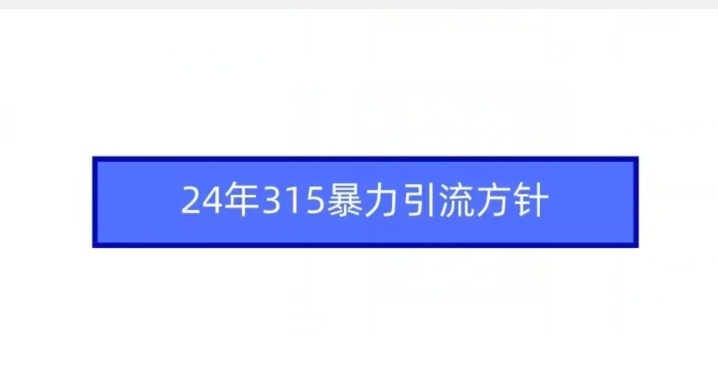 24年315暴力引流方针-鱼梓小栈