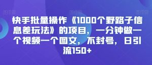 快手批量操作《1000个野路子信息差玩法》的项目，一分钟做一个视频一个图文，不封号，日引流150+【揭秘】-鱼梓小栈