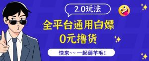 外面收费2980的全平台通用白嫖撸货项目2.0玩法【仅揭秘】-鱼梓小栈