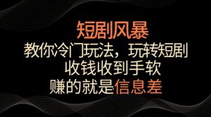 短剧风暴，教你冷门玩法，玩转短剧，收钱收到手软【揭秘】-鱼梓小栈