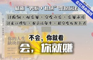 2024，“男粉+私域”还是最耐造、最赚、最轻松、最愉快的变现方式【揭秘】-鱼梓小栈