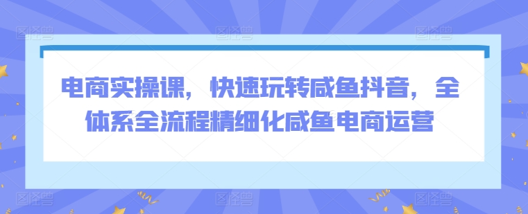 电商实操课，快速玩转咸鱼抖音，全体系全流程精细化咸鱼电商运营-鱼梓小栈