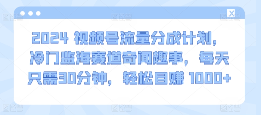 2024视频号流量分成计划，冷门监海赛道奇闻趣事，每天只需30分钟，轻松目赚 1000+【揭秘】-鱼梓小栈