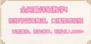 全网最详细教学，视频号蓝海赛道，口播情感视频，无需露脸，制作简单，轻松实现日入1000+【揭秘】-鱼梓小栈