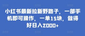 小红书最新拉新野路子，一部手机即可操作，一单15块，做得好日入2000+【揭秘】-鱼梓小栈