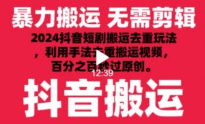 2024最新抖音搬运技术，抖音短剧视频去重，手法搬运，利用工具去重，达到秒过原创的效果【揭秘】-鱼梓小栈