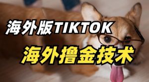抖音海外版tiktok撸金技术,这个风口行业,赚钱真的不难【揭秘】-鱼梓小栈