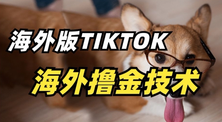 抖音海外版tiktok撸金技术，这个风口行业，赚钱真的不难【揭秘】-鱼梓小栈