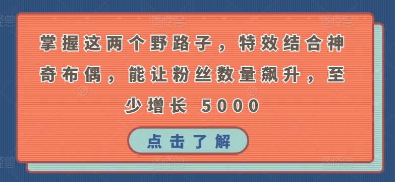 掌握这两个野路子，特效结合神奇布偶，能让粉丝数量飙升，至少增长 5000【揭秘】-鱼梓小栈