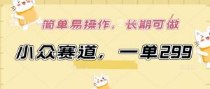 小众赛道，一单299.简单易操作，长期可做【揭秘】-鱼梓小栈