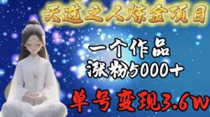 天选之人炼金项目，一个作品涨粉5000+，单号变现3.6w【揭秘】-鱼梓小栈
