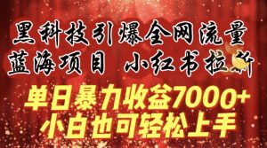 蓝海项目!黑科技引爆全网流量小红书拉新，单日暴力收益7000+，小白也能轻松上手【揭秘】-鱼梓小栈
