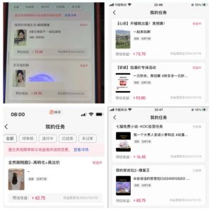 2024年3月最新,快手磁力聚星全流程实操教学,8台手机日均收益稳定100~200元【揭秘】-鱼梓小栈