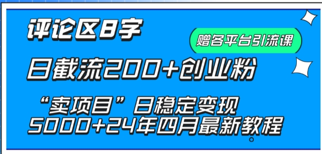 抖音评论区8字日截流200+创业粉 “卖项目”日稳定变现5000+【揭秘】-鱼梓小栈