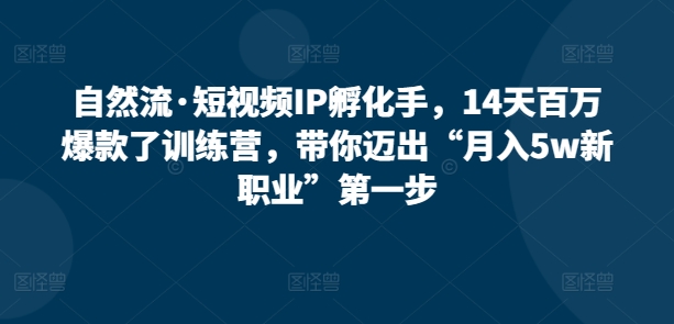 自然流·短视频IP孵化手，14天百万爆款了训练营，带你迈出“月入5w新职业”第一步-鱼梓小栈