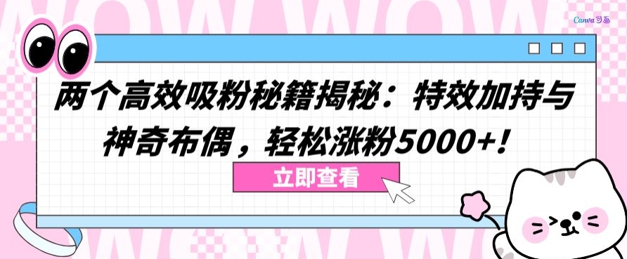两个高效吸粉秘籍揭秘：特效加持与神奇布偶，轻松涨粉5000+【揭秘】-鱼梓小栈
