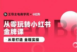 王导主·小红书电商运营实操课，​从零打造  全程实操-鱼梓小栈