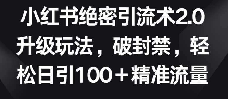 小红书绝密引流术2.0升级玩法，破封禁，轻松日引100+精准流量【揭秘】-鱼梓小栈