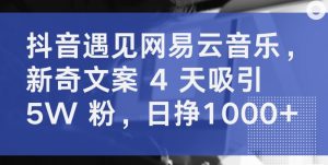 抖音遇见网易云音乐，新奇文案 4 天吸引 5W 粉，日挣1000+【揭秘】-鱼梓小栈