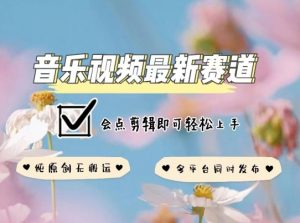 音乐视频赛道最新玩法，纯原创不违规，可所有平台同时发布，会点剪辑即可轻松拿捏【揭秘】-鱼梓小栈