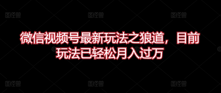微信视频号最新玩法之狼道，目前玩法已轻松月入过万【揭秘】-鱼梓小栈