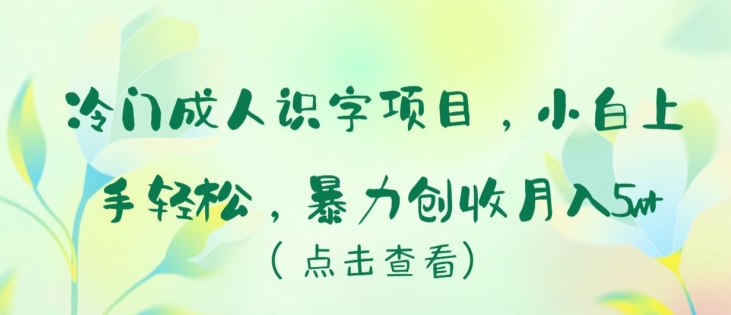 冷门成人识字项目，小白上手轻松，暴力创收月入5w+【揭秘】-鱼梓小栈