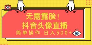 无需露脸，Ai头像直播项目，简单操作日入500+【揭秘】-鱼梓小栈