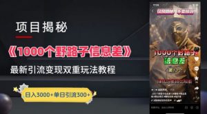 一千个野路子信息差最新玩法教程-变现+引流的玩法具体拆解【揭秘】-鱼梓小栈