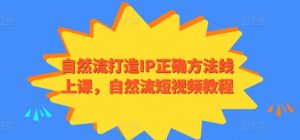 自然流打造IP正确方法线上课，自然流短视频教程-鱼梓小栈