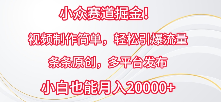小众赛道掘金，视频制作简单，轻松引爆流量，条条原创，多平台发布【揭秘】-鱼梓小栈
