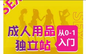成人用品独立站从0-1入门，成品独立站运营全流程教学，七大好卖成品独立站推荐-鱼梓小栈
