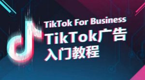 TikTok广告入门教程,从0到1掌握TikTok投放的全流程-鱼梓小栈