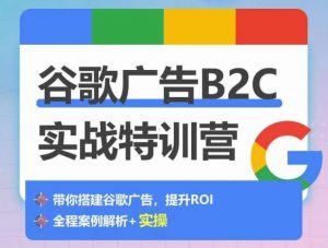 谷歌广告B2C实战特训营,500+谷歌账户总结经验,实战演示如何从0-1搭建广告账户-鱼梓小栈