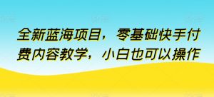 全新蓝海项目，零基础快手付费内容教学，小白也可以操作【揭秘】-鱼梓小栈