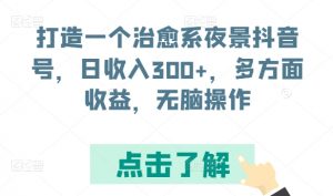 打造一个治愈系夜景抖音号，日收入300+，多方面收益，无脑操作【揭秘】-鱼梓小栈