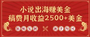 小说出海赚美金，稿费月收益2500+美金，仅需chatgpt粘贴复制，新手也能玩转【揭秘】-鱼梓小栈