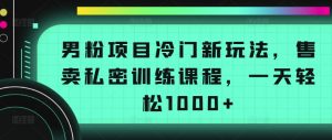 男粉项目冷门新玩法，售卖私密训练课程，一天轻松1000+【揭秘】-鱼梓小栈