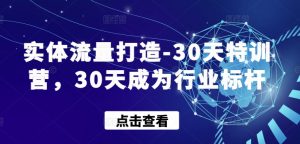 实体流量打造-30天特训营,30天成为行业标杆-鱼梓小栈
