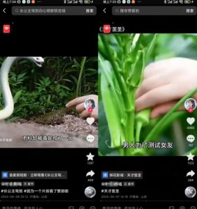 抖音卡章节搬运：短剧搬运术，百分百过抖，一比一搬运，只能安卓【揭秘】-鱼梓小栈