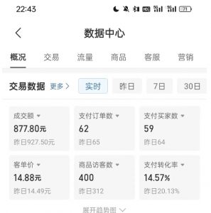 拼多多虚拟U盘电商红利项目：月赚2万+，新手小白也能玩-鱼梓小栈