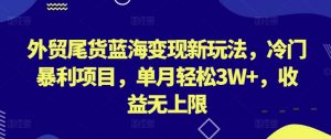 外贸尾货蓝海变现新玩法，冷门暴利项目，单月轻松3W+，收益无上限【揭秘】-鱼梓小栈
