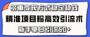 精准项目粉高效引流术，新手单日引流50+，多重变现方式稳定赚钱【揭秘】-鱼梓小栈