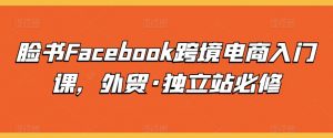 脸书Facebook跨境电商入门课，外贸·独立站必修-鱼梓小栈