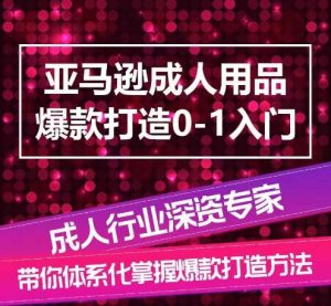 亚马逊成人用品爆款打造0-1入门，系统化讲解亚马逊成人用品爆款打造的流程-鱼梓小栈