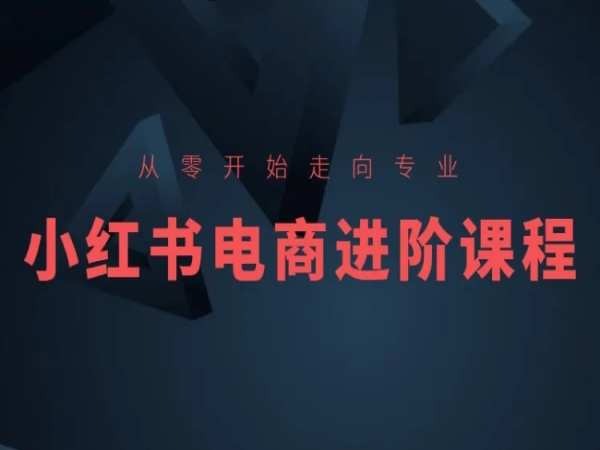 从零开始走向专业，小红书电商进阶课程-鱼梓小栈