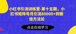 小红书引流训练营-第十五期,小红书矩阵号月引流80000+到微信方法论-鱼梓小栈