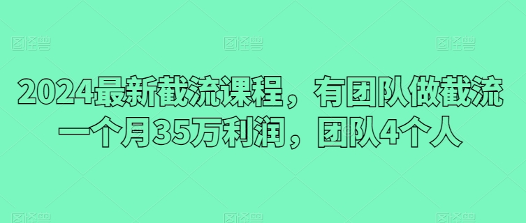 2024最新截流课程，有团队做截流一个月35万利润，团队4个人-鱼梓小栈